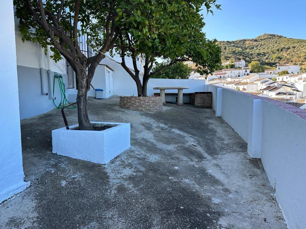Apartamento Antonia زاهارا دي لا سييرا المظهر الخارجي الصورة