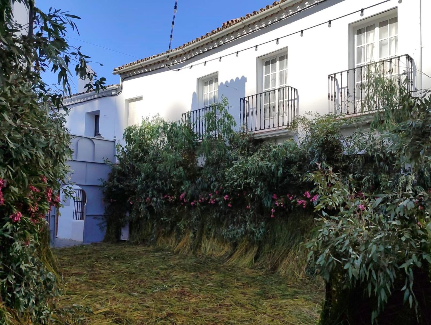 Apartamento Antonia زاهارا دي لا سييرا المظهر الخارجي الصورة